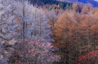 120110_bansyuunokaramatsubayashi