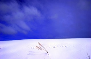 美瑛・雲と青空