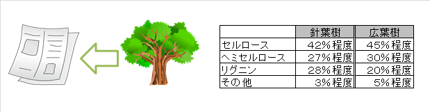 160610_somu01 160610_somu01